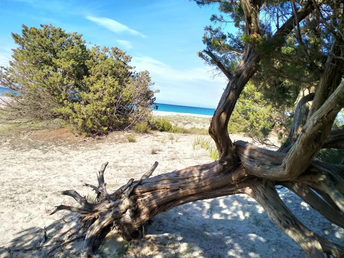 فندق Caletta Sul Mare لا كاليتا المظهر الخارجي الصورة
